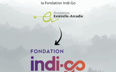 Fondation Indi-Go